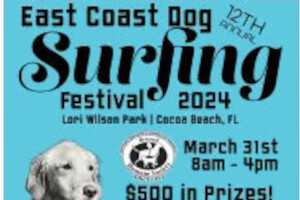 east coast dog surfing festival