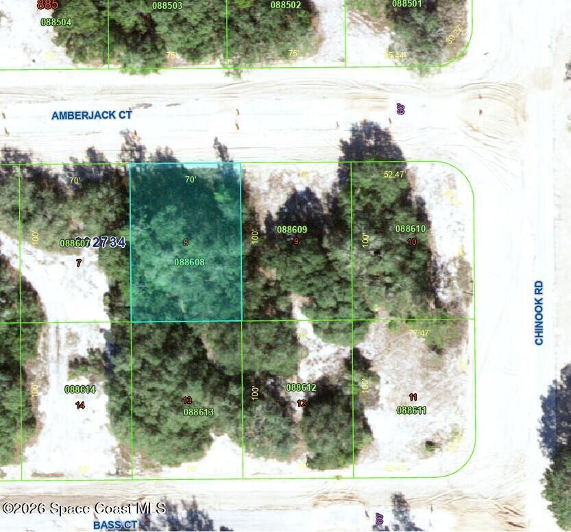 Poinciana, Fl