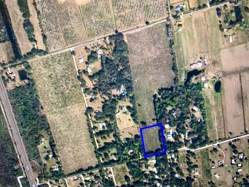 3575						Coral						Avenue												Mims, FL						32754