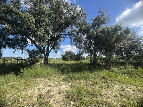 17925						316th						Street												Okeechobee, FL						34972