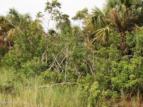 Lot 7						159th						Court												Ocala, FL						34481