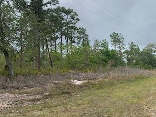 0						Azalea						Drive												Indian Lake Estates, FL						33855