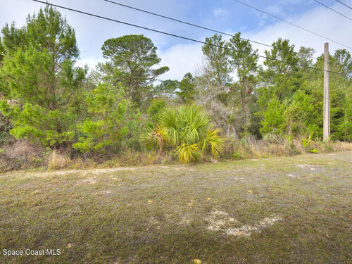 0						Barna						Avenue												Titusville, FL						32780
