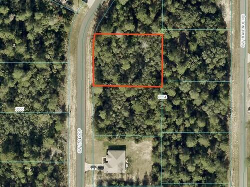 000						Sw 170th						Loop												Ocala, FL						34473