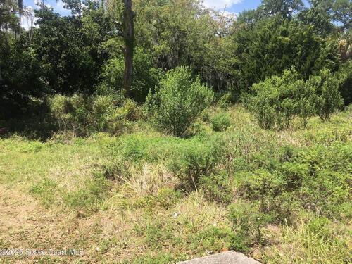 486 Magnolia Avenue  Melbourne, FL 32935