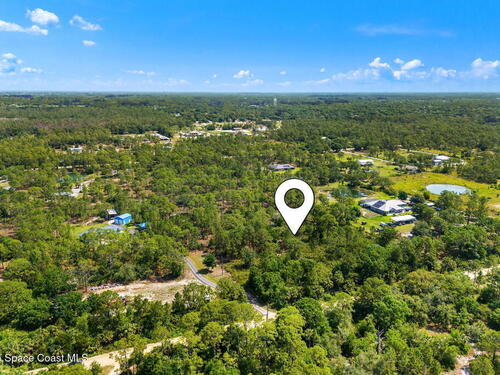 13448						85th						Street												Fellsmere, FL						32948