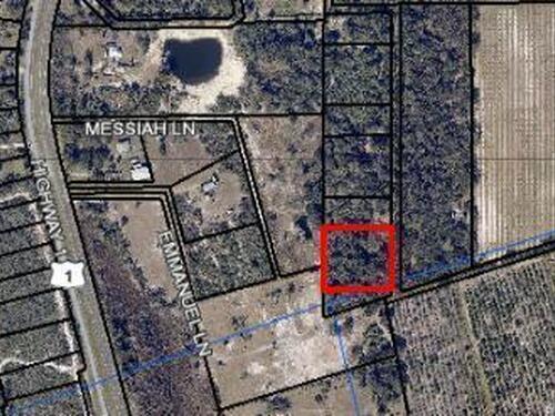 0000						Laurel Oak						Avenue												Mims, FL						32754