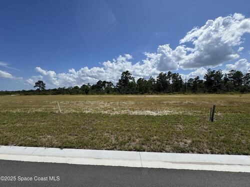 5551						Constellation						Drive												Titusville, FL						32780