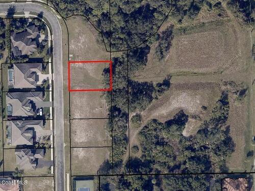 3250						Cappannelle Drive						Drive												Melbourne, FL						32940