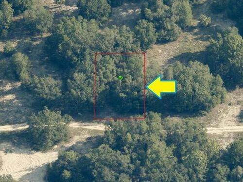 2508						Adams						Street												Inverness, FL						