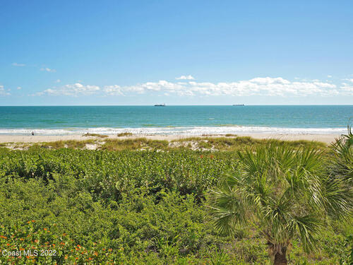 425						Buchanan						Avenue						Unit #302						Cape Canaveral, FL						32920