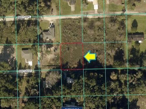 0000						124th						Street												Citra, FL						32113