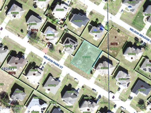 1257						Nelson Park						Court												Poinciana, FL						34759