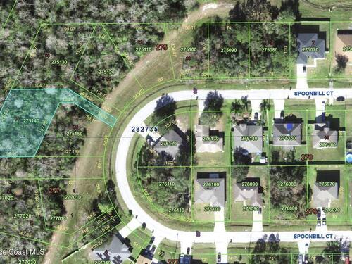 000						Spoonbill						Court												Poinciana, FL						34759