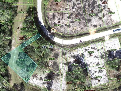 00-00						Sparrow						Court												Poinciana, FL						34759