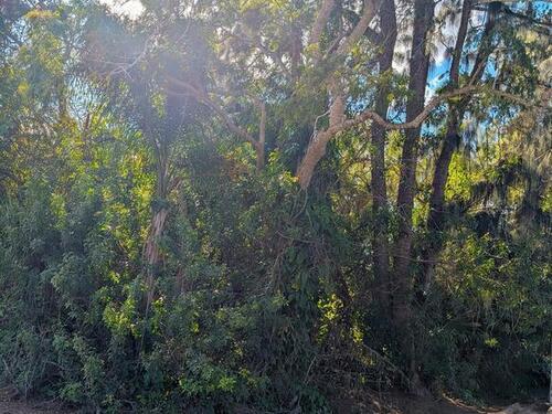 6195						6th						Place												Vero Beach, FL						32968