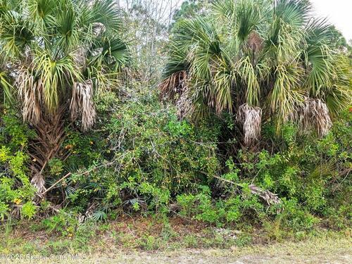 12885						86th						Street												Fellsmere, FL						32948