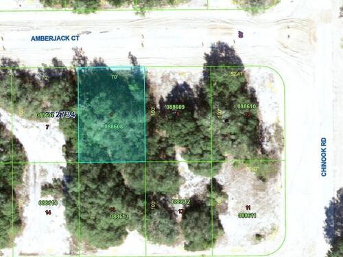 377						Amberjack						Court												Poinciana, FL						34759