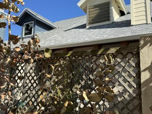 8154						Ridgewood						Avenue												Cape Canaveral, FL						32920