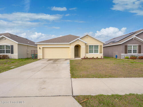 3634						Sandhill Crane						Circle												Mims, FL						32754