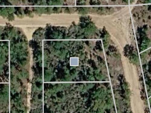 116						Manchester						Avenue												Interlachen, FL						32148