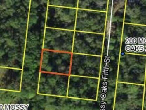200						Mossy Oaks Fourth						Street												Other, FL						99999