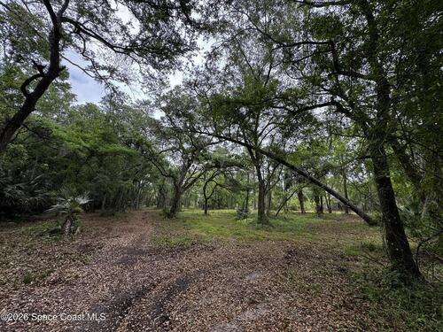 4550						Wellington						Lane												Mims, FL						32754