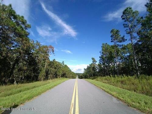 000						Amberjack						Avenue												Dunnellon, FL						34432
