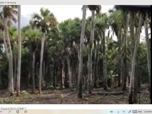 O00						Unknown																		Merritt Island, FL						32953