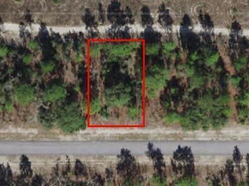 2503						Tyler						Street												Inverness, FL						34452