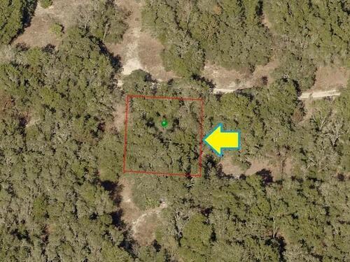 3009						Taylor						Street												Inverness, FL						