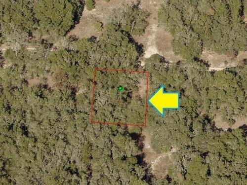 3011						Taylor						Street												Inverness, FL						