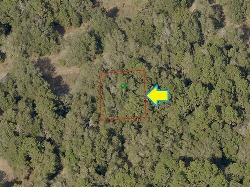 1909						Lorena						Street												Inverness, FL						