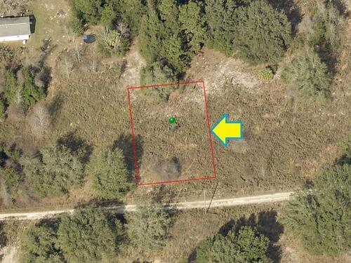 2310						Madison						Street												Inverness, FL						