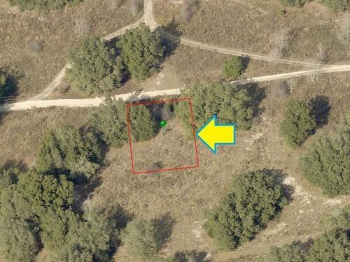 2215						Madison						Street												Inverness, FL						