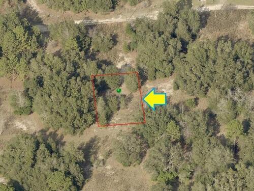 2408						Jefferson						Street												Inverness, FL						34453