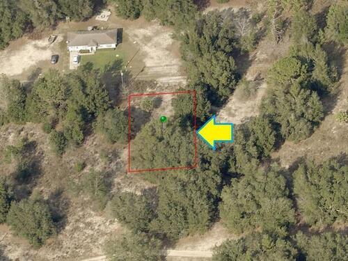 2509						Jefferson						Street												Inverness, FL						34453