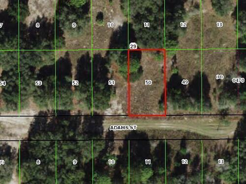 2412 Adams Street  Inverness, FL 34453