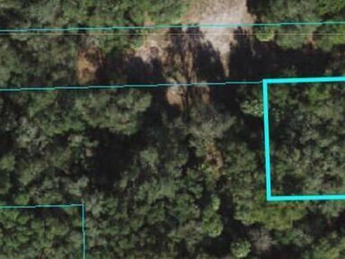 0 116th Terrace  Fort McCoy, FL 32134