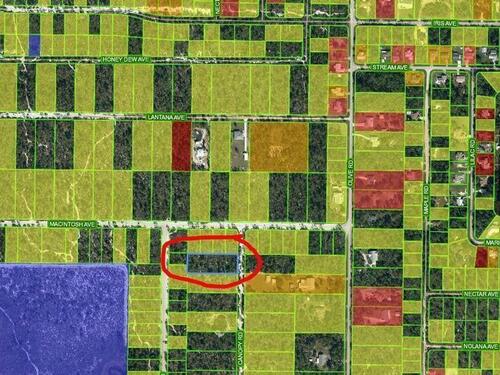 1613						Honeysuckle						Street												Sebring, FL						33875